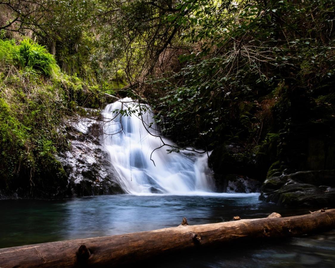 Refugio D'Aldeia Da Serra Сейя Экстерьер фото